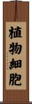 植物細胞 Scroll
