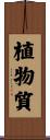 植物質 Scroll