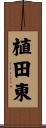 植田東 Scroll