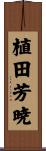 植田芳暁 Scroll