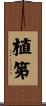 植第 Scroll