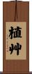 植艸 Scroll