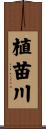 植苗川 Scroll