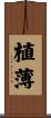 植薄 Scroll