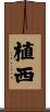 植西 Scroll