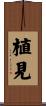 植見 Scroll