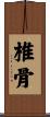椎骨 Scroll