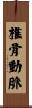 椎骨動脈 Scroll