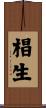 椙生 Scroll