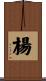 楊 Scroll