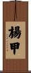 楊甲 Scroll