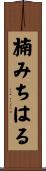 楠みちはる Scroll