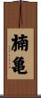 楠亀 Scroll