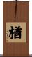 楢 Scroll
