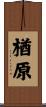 楢原 Scroll