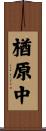 楢原中 Scroll