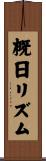 概日リズム Scroll