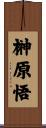 榊原悟 Scroll