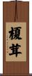 榎茸 Scroll