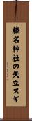 榛名神社の矢立スギ Scroll