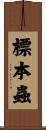 標本蟲 Scroll