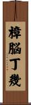 樟脳丁幾 Scroll
