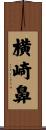 横崎鼻 Scroll