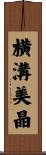 横溝美晶 Scroll