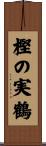 樫の実鶴 Scroll