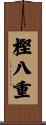 樫八重 Scroll