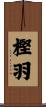 樫羽 Scroll