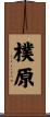 樸原 Scroll