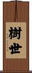 樹世 Scroll
