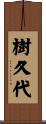 樹久代 Scroll