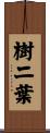 樹二葉 Scroll