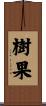樹果 Scroll