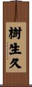 樹生久 Scroll