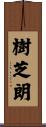 樹芝朗 Scroll