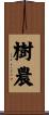 樹農 Scroll