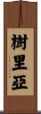 樹里亞 Scroll