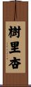 樹里杏 Scroll