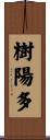 樹陽多 Scroll