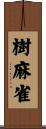 樹麻雀 Scroll