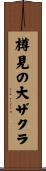 樽見の大ザクラ Scroll
