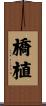 橋植 Scroll