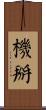 機掰 Scroll