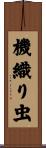 機織り虫 Scroll