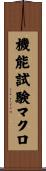 機能試験マクロ Scroll