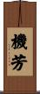 機芳 Scroll