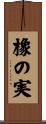 橡の実 Scroll